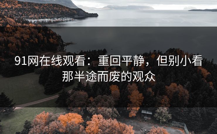 91网在线观看：重回平静，但别小看那半途而废的观众